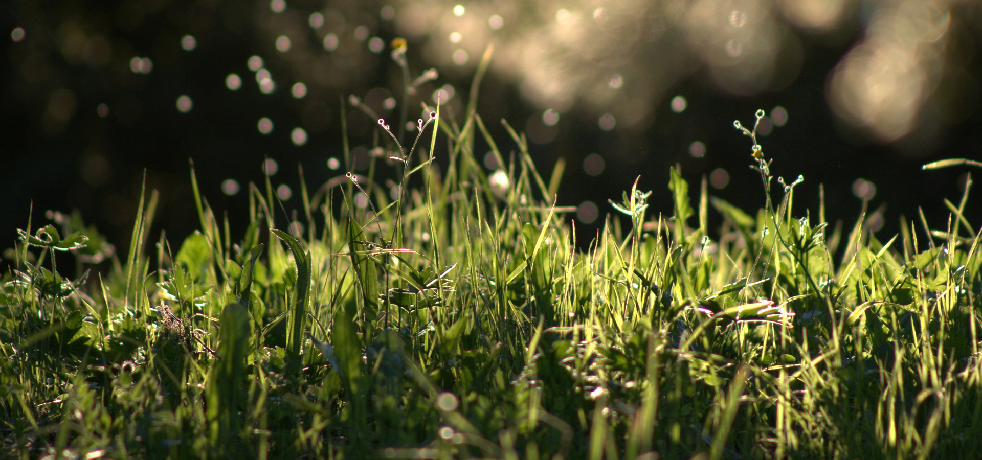 Šetrné k životnímu prostředí jsou renovované a originální kazety