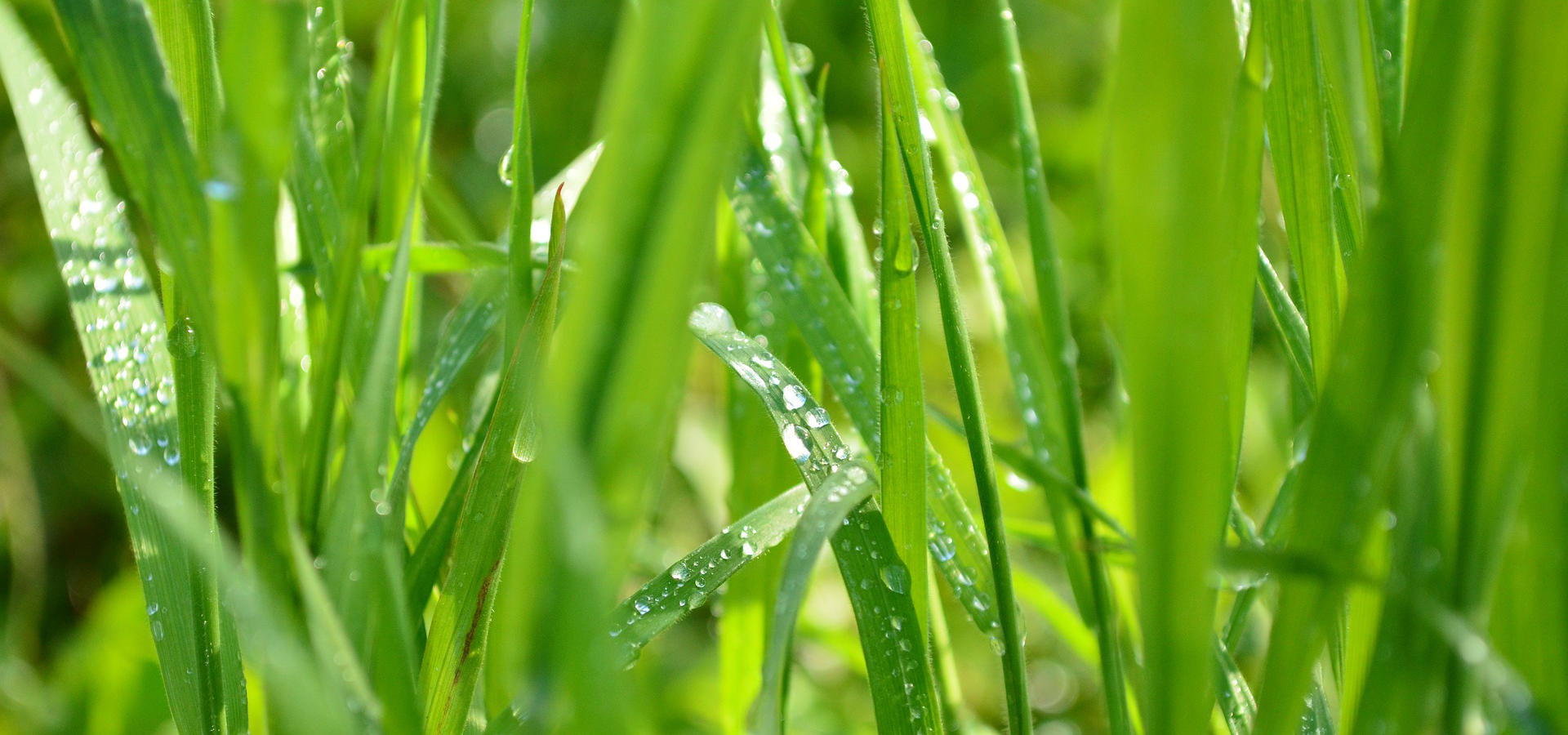 Odevzdaná tonerová kazeta ušetří průměrně 671 gramů odpadu