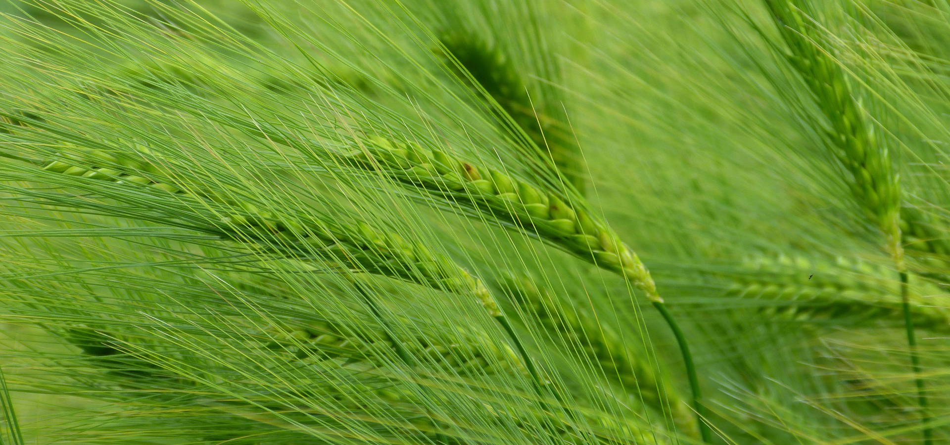 Odevzdaná inkoustová kazeta ušetří průměrně 91 gramů plastového odpadu